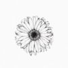 _sophialund